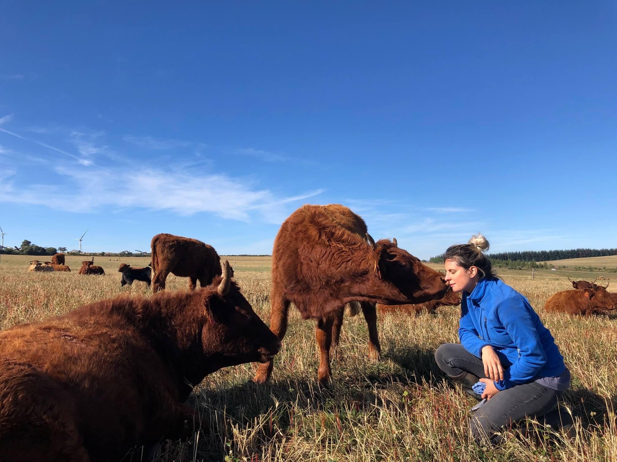 Pauline Garcia avec ses vaches